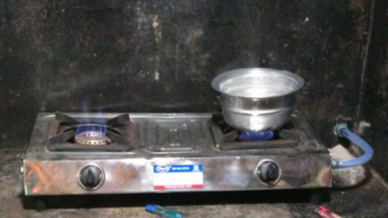 Transforming Cooking Practices in Rural India: The Environmental Impact and Biogas Solution